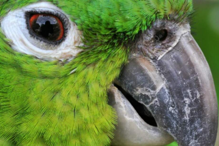 Archivo EFE / Archivo EFE