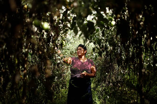 Desigualdad rural: la realidad de las mujeres en el campo | Noticias ...