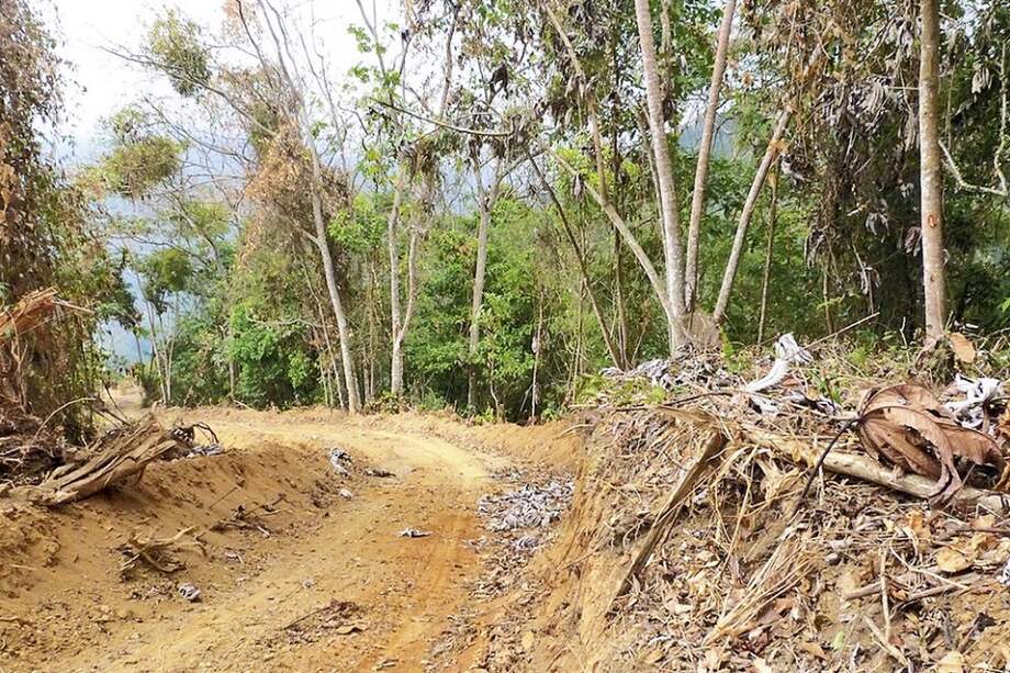 El lugar hace parte de una Reserva Natural cercana a la cuenca del río Gaira.