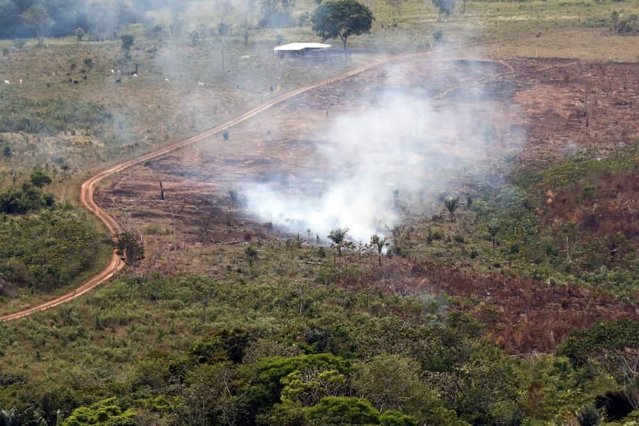 Imágenes aéreas de la deforestación en el parque Tinigua. / Cortesía Mindefensa