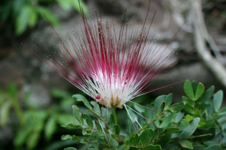 Ministerio de Ambiente / Ministerio de Ambiente