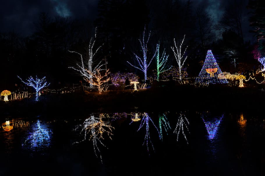 Desde el próximo 15 de diciembre, los organizadores del festival de luces MajestuOsos dieron una sorpresa a sus visitantes. EFE/CJ GUNTHER