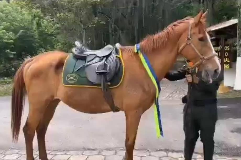 Gamazon sirvió a la policía durante 14 años.