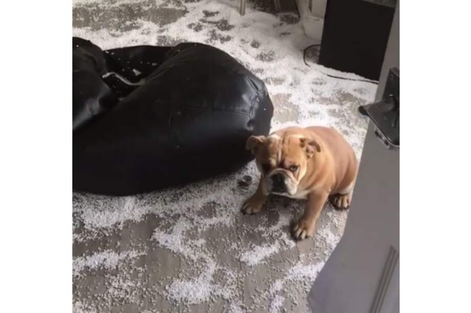 Captura de pantalla de la publicación de Neil Kempy.