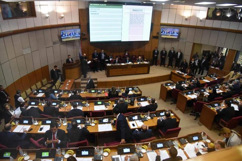 El senado analizó durante los últimos días las repercusiones del acuerdo energético bilateral con Brasil. / AFP