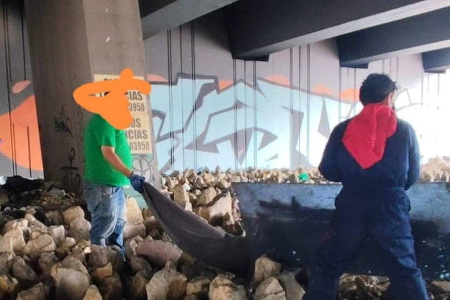 Mientras avanzan las verificaciones y la investigación anunciada ante la Fiscalía, el caso continúa generando inquietud entre la ciudadanía y las organizaciones defensoras de los animales.