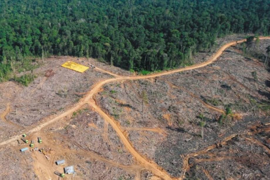 En abril de 2018, la Corte Suprema de Justicia exigió al Estado proteger la Amazonia colombiana de la deforestación con la Sentencia 4360 de 2018. Las audiencias buscaban hacer seguimiento a las medidas implementadas para protegerla. / AFP