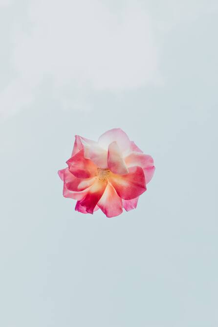 La marca emergente Dauphinette, cautivó a todo instagram con sus intervenciones.