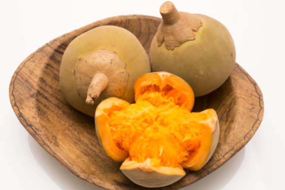 Zapote, imagen de referencia