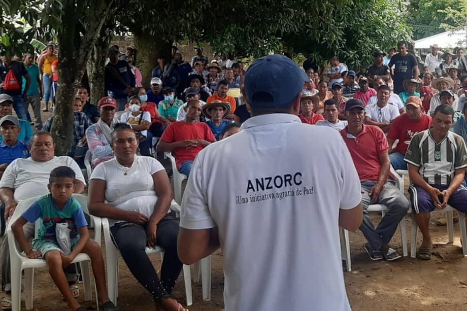 La Asociación Nacional de Zonas de Reserva Campesina (Anzorc) y Dejusticia acompañaron a las tres organizaciones campesinas de esas regiones en la tutela contra la Agencia Nacional de Tierras para que resolviera las solicitudes de creación.