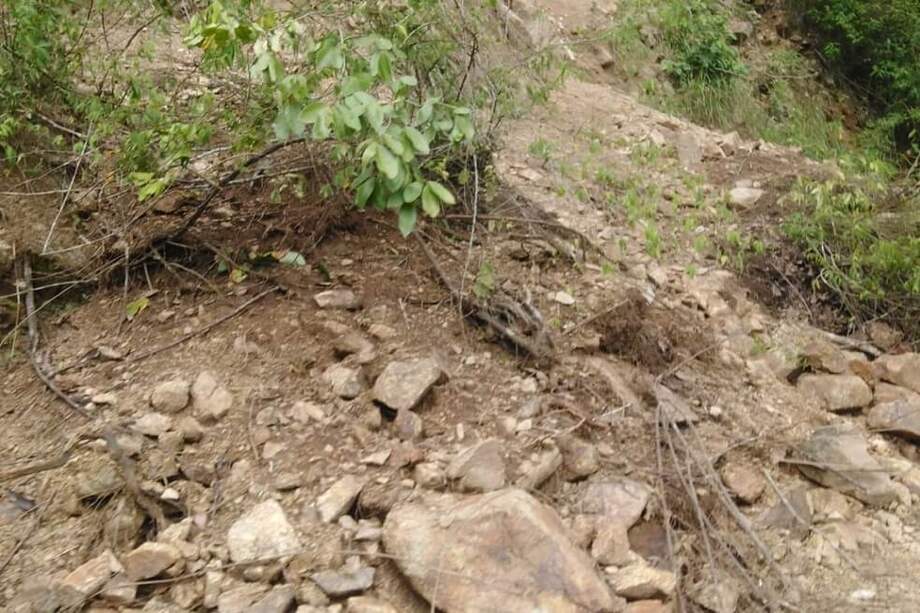 Los departamentos más afectados por la temporada de lluvias en el país son Antioquia, Nariño, Santander, Cauca, Cundinamarca y Huila.
/ Cortesía