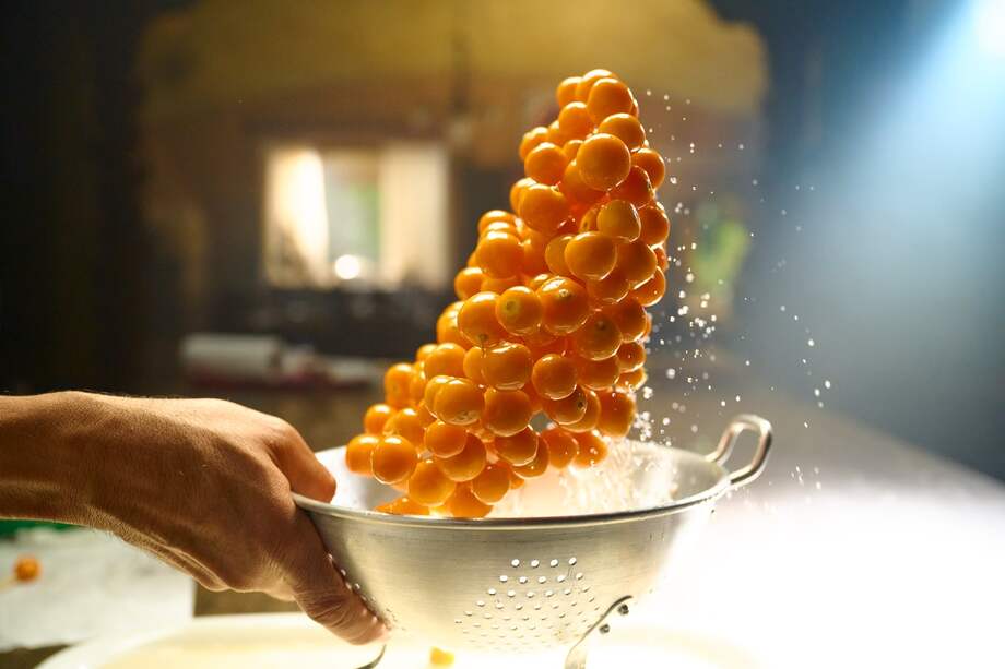 Los incentivos económicos aplicarán para compras que se hagan entre el 17 de noviembre y el 31 de diciembre de este año