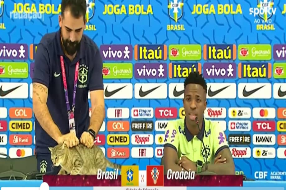 Momento en el que el jefe de prensa de la selección de Brasil agarra al gato y lo arroja fuera de la mesa central.