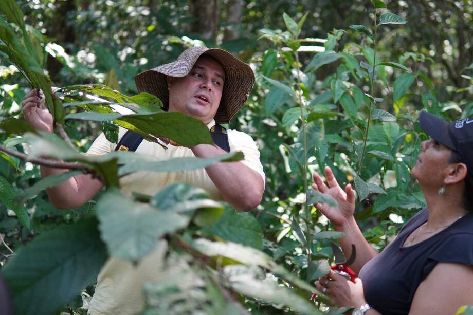 La bioeconomía se establece como uno de los mecanismos de sostenibilidad de modelos innovadores en el agro y la conservación.