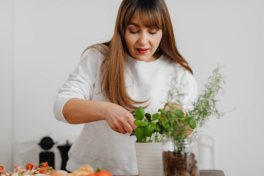 Las plantas aromáticas pueden cultivarse en macetas y aportar frescura a cocinas, ventanas o balcones con buena luz. Algunas variedades, como el toronjil, la limonaria o el cidrón, desprenden notas cítricas.