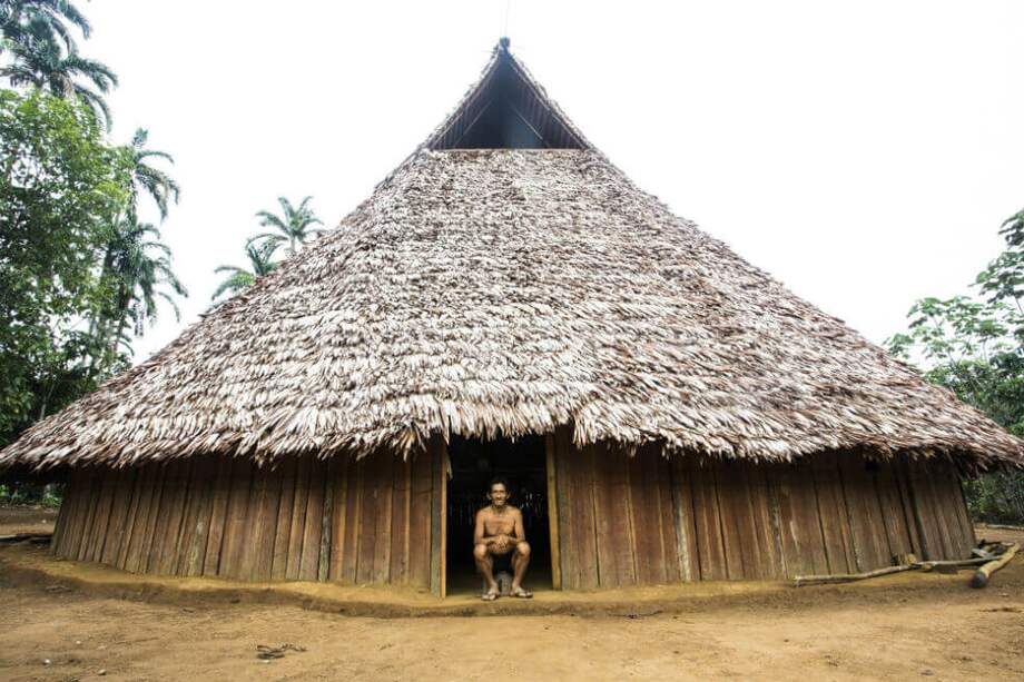 A pesar de que los plazos que la Corte Suprema otorgó para cumplir las órdenes eran de 4 y 5 meses, han pasado 17 meses y aunque las cifras de deforestación han mejorado, aún hay mucho por hacer, según reconoció el Tribunal Superior de Bogotá. / Gaia Amazonas