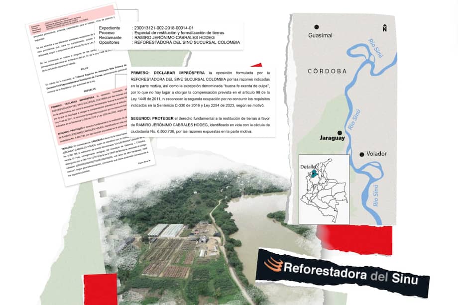 La empresa envía la madera desde un puerto de Tolú con destino a Europa. / Ilustración Eder Leandro Rodríguez.