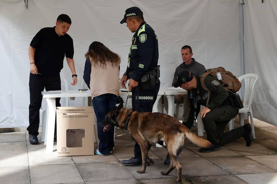 .BOGOTÁ (COLOMBIA), 31/05/2026.- Policías inspeccionan el lugar donde vota el presidente de Colombia, Gustavo Petro este domingo en Bogotá (Colombia). Las elecciones presidenciales de Colombia arrancaron con la apertura de los colegios electorales para más de 41 millones de ciudadanos que están habilitados para votar en primera vuelta por el sucesor del actual mandatario, Gustavo Petro. EFE/Mauricio Dueñas Castañeda