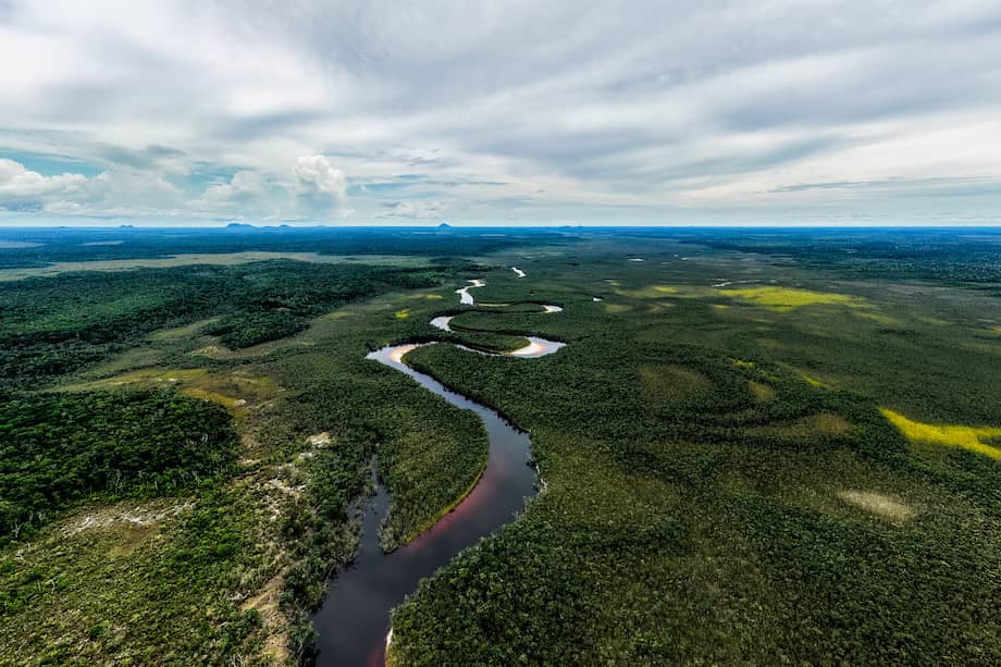 El Minambiente busca que no se otorguen nuevas concesiones mineras ni se celebren nuevos contratos de hidrocarburos en la Amazonia. / Getty Images.