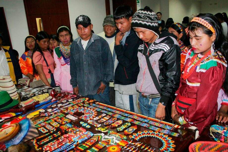 30 familias indígenas de la comunidad Embera tiene iniciativas productivas.