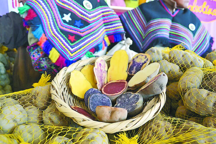 Perú cuenta con más de 4.000 variedades de papa. / Flickr: CIP