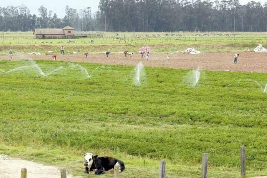 Incoder pone lupa a predios adquiridos por el Fondo Ganadero de Córdoba