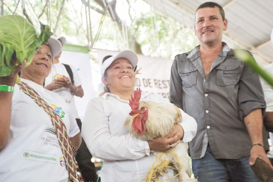 Los investigadores piden “aumentar la transparencia de los procesos de ejecución de la política y reevaluar el hermetismo de las entidades que participan en el proceso de restitución”. / Óscar Pérez