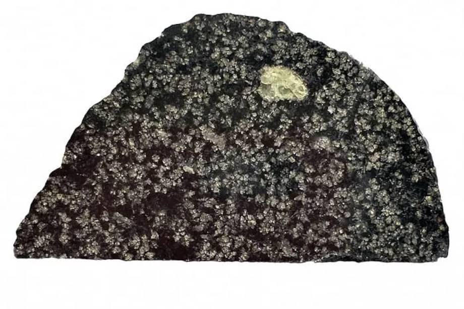 Imagen del meteorito NWA 12774. El círculo verde es un cristal de olivino, un mineral rico en magnesio. (Crédito: John Kashuba)