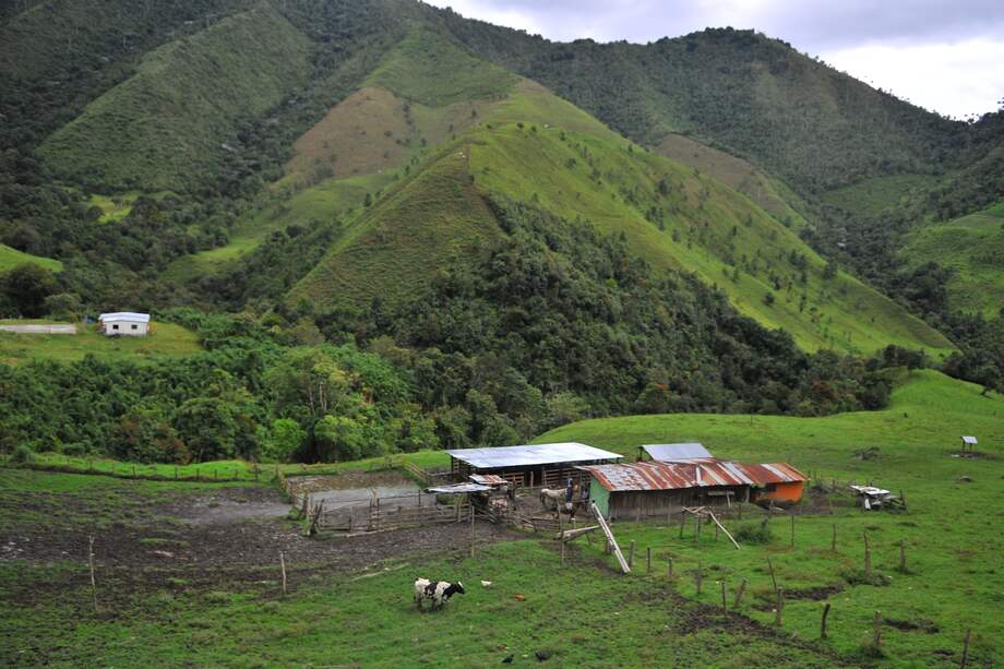 Imagen de referencia.