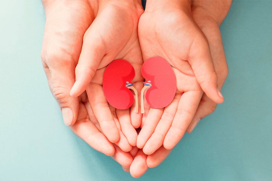 Tener piedras o cálculos en los riñones es algo un poco común, sin embargo, hay formas de evitarlo. Te contamos cómo.