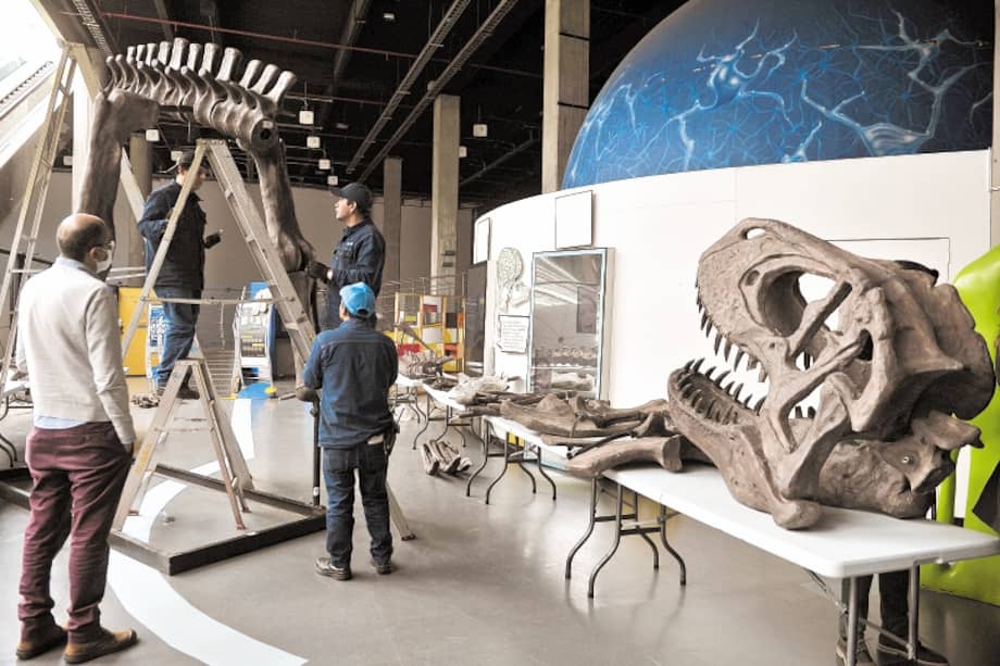 El neurocientífico colombiano Rodolfo Llinás donó a Maloka una replica de un “Tirannosaurus rex”. / Oscar Pérez