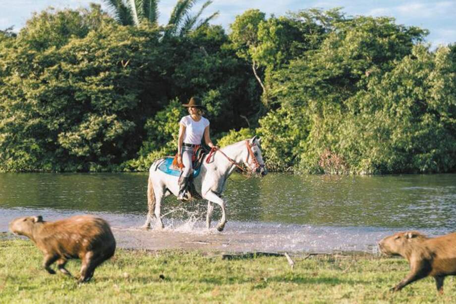Gobierno busca recuperar el turismo como uno de los nuevos pilares de la economía del país. / Cortesía Galavanta