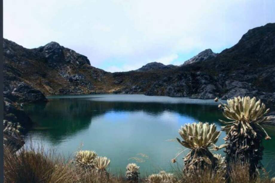 "En Santurbán solo se quedarán las mineras que ya tengan permiso para explotar": Minambiente