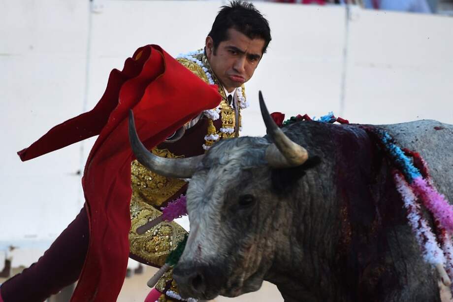 Torero mexicano Joselito Adame sufre una cornada en el gemelo en España