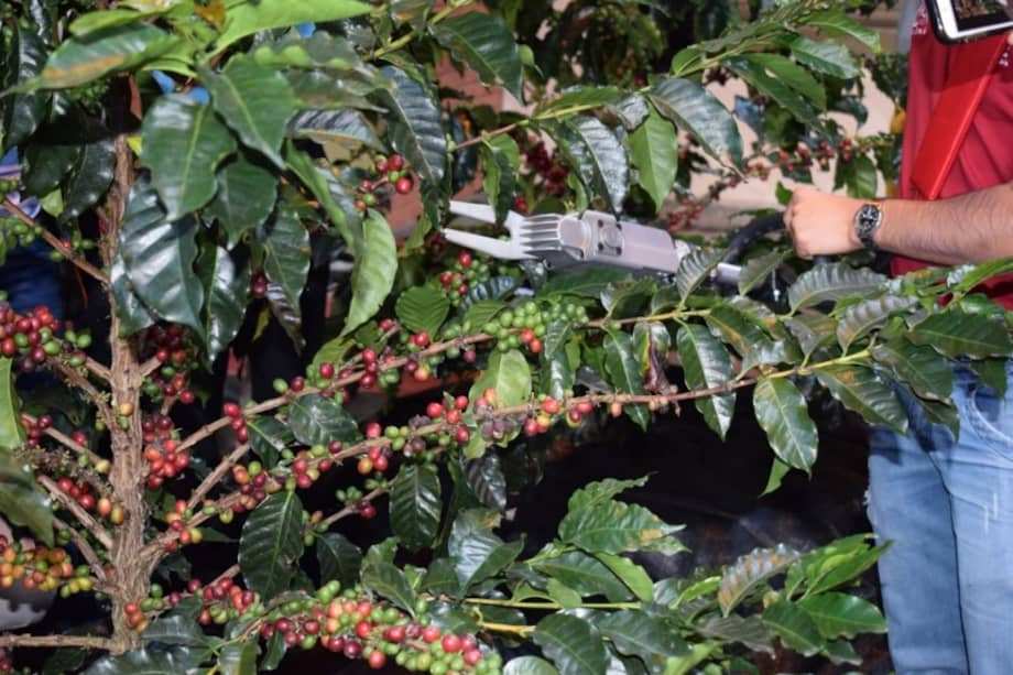 Foto tomada de Twitter.