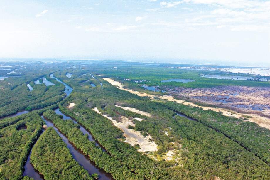 La Ciénaga Grande abarca 500.000 hectáreas y es la laguna costera más grande del Caribe. / Archivo