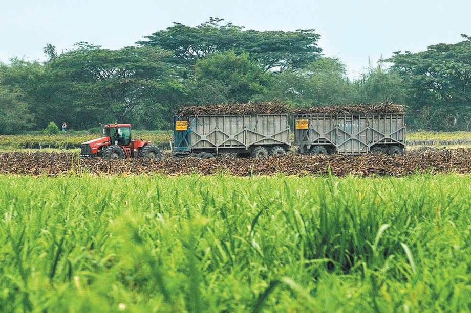 El trabajador llevaba 28 años en Incauca. / David Campuzano