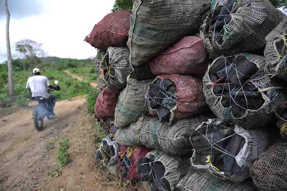 Los campesinos del municipio de Piojó, al norte del departamento del Atlántico, han deforestado incontables hectáreas de bosque para obtener carbón. / Fotos: Óscar Pérez - El Espectador