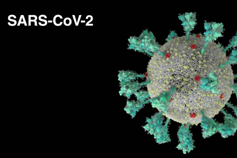 En este video científicos explican de forma didáctica cómo entra el nuevo coronavirus a las células humanas.