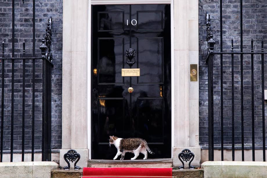 Larry fotografiado en enero de este año.