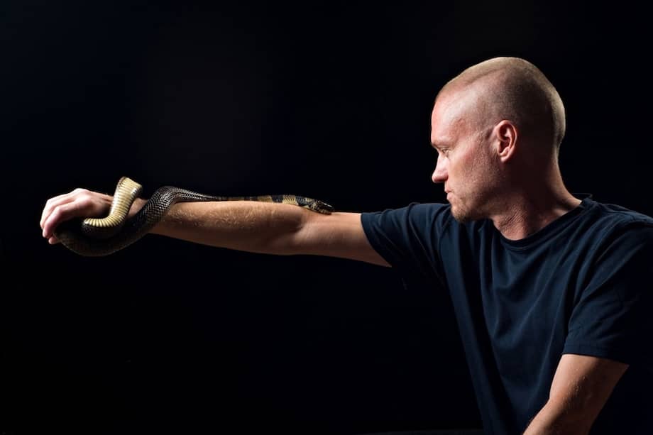 Tras décadas inyectándose venenos de serpientes mortales, como la cobra, la sangre de Tim Friede contiene anticuerpos de amplio espectro que neutralizan las toxinas del veneno.