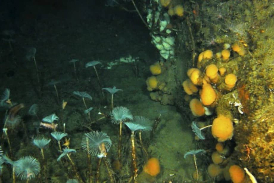 Archivo EFE / Archivo EFE