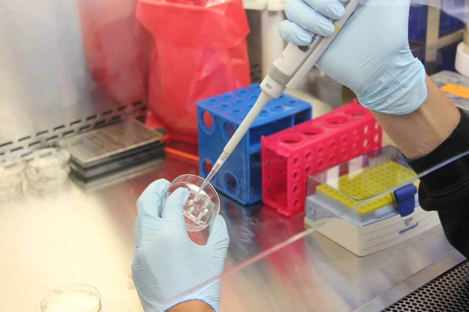Una nueva ventana para la investigación científica