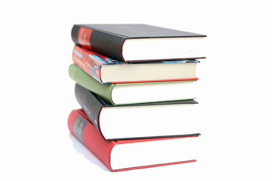 Tomada de Pixabay/Referencia