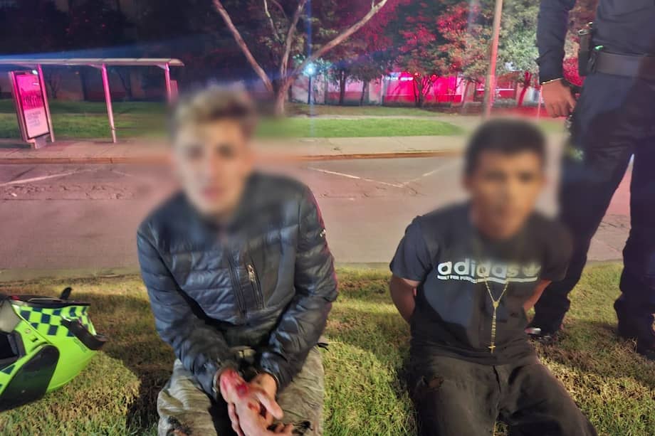 Los responsables, de 18 y 20 años fueron capturados tras chocar el vehículo hurtado.