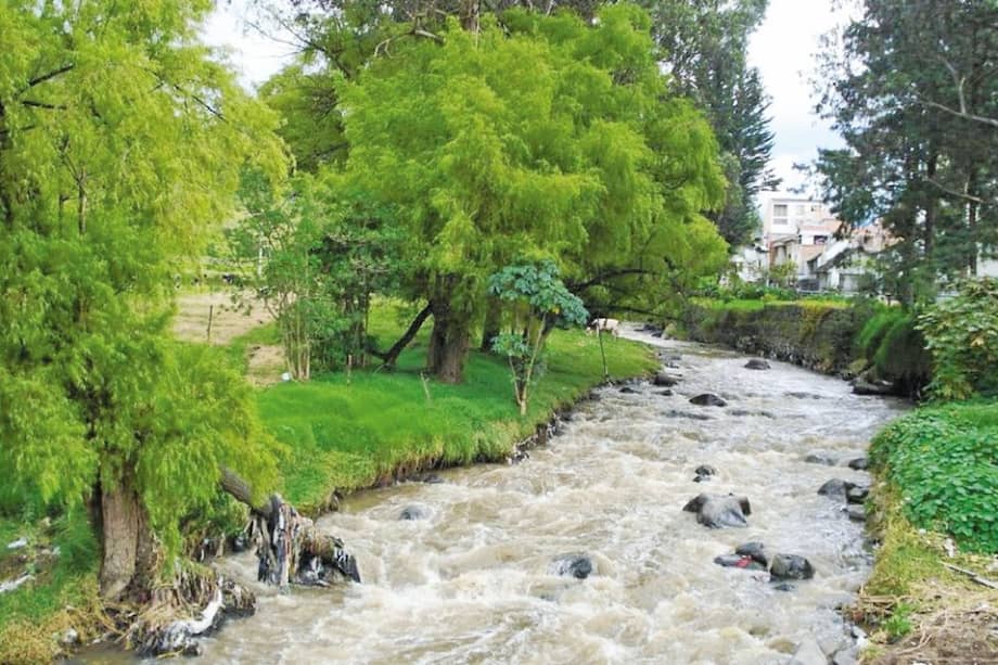 Los estudios paisajísticos fueron hechos por la Universidad de Viena. / Agua-pasto.blogspot.com