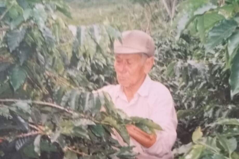 Simón trabajaba en diferentes labores en las fincas, pero lo que más hacía era recoger café.