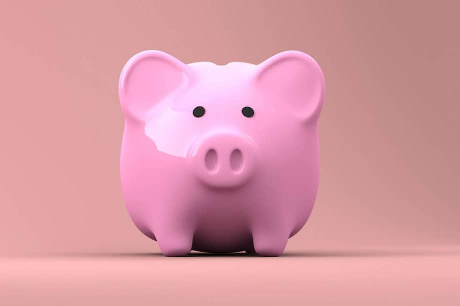 Otras opciones en las que puede destinar de manera inteligente su prima son: invertir, disminuir los créditos y estudiar. / Pixabay