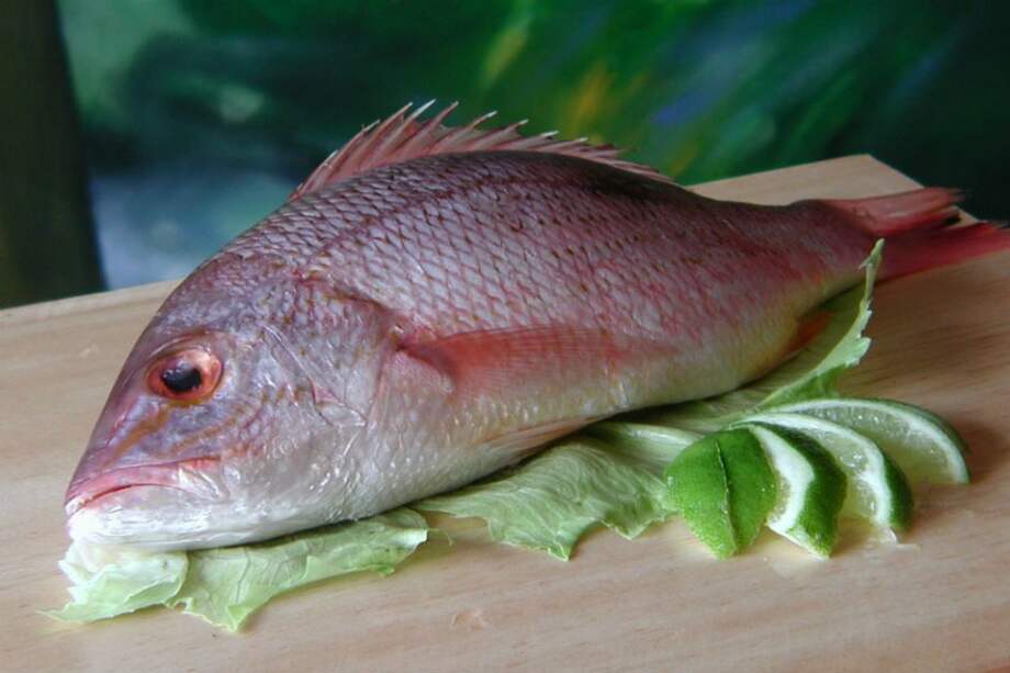 Decomisan más de 7 mil kg de pescado descompuesto en Bogotá