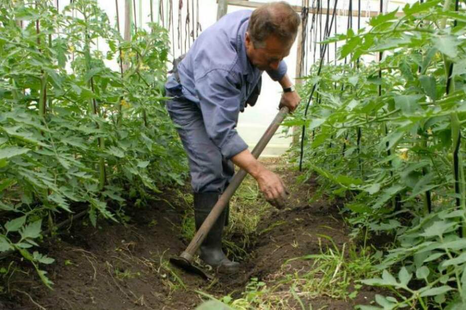 Significativa caída en desempleo rural, destacó minagricultura